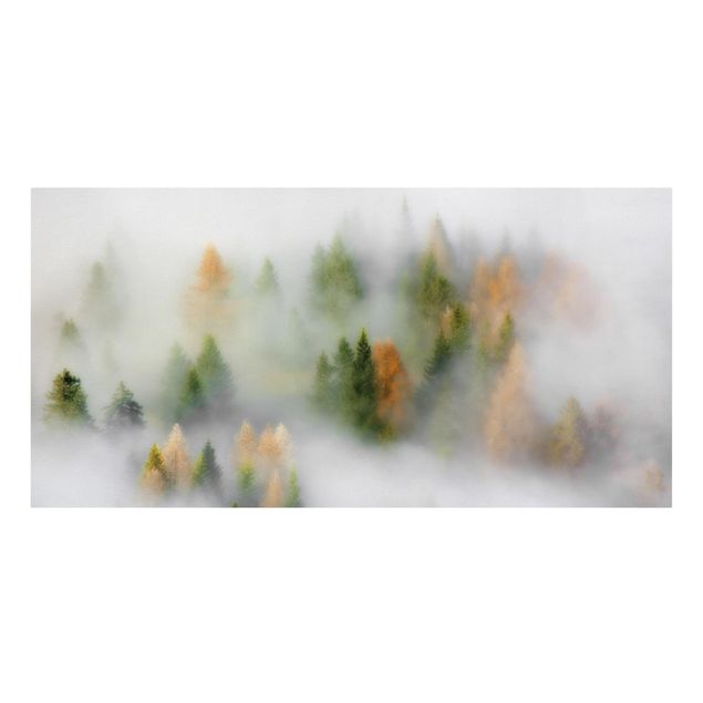 Canvas prints landscape Cloud Forest In Autumn