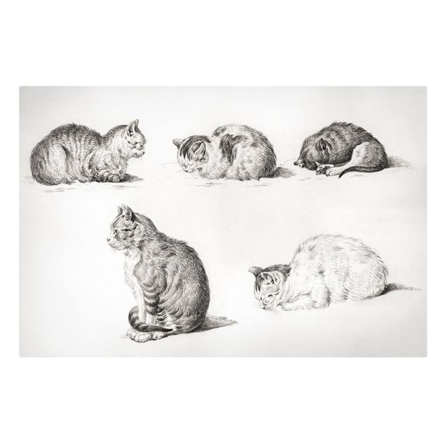 Wall art black and white Vintage Drawing Cat I