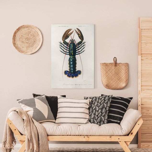 Animal wall art Vintage Board Blue Lobster