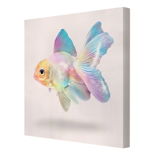 Animal wall art Fish In Pastel