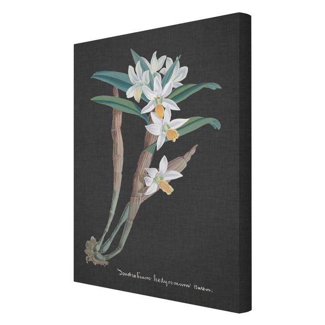 Floral picture White Orchid On Linen I