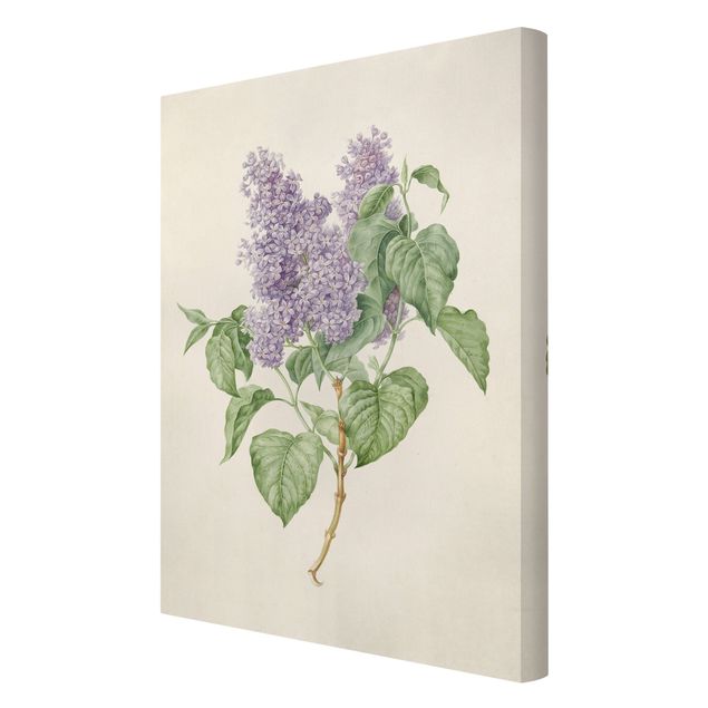 Purple print Maria Geertruyd Barber-Snabilie - Lilac