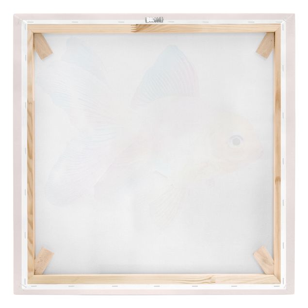 Jonas Loose Art Fish In Pastel
