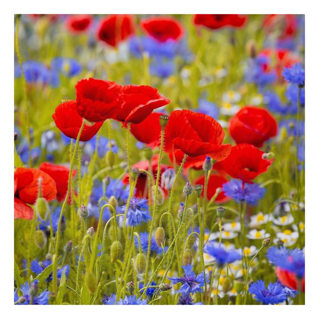 Canvas prints art print Summer Meadow With Poppies And Cornflowers