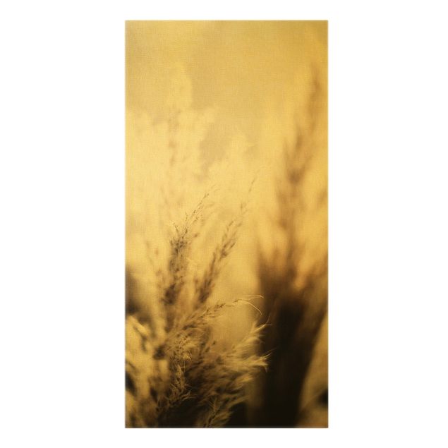 Modern art prints Pampas Grass In The Shadow