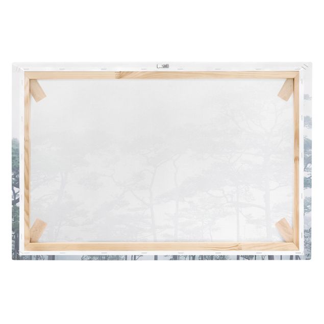 Grey prints Treetops In Fog