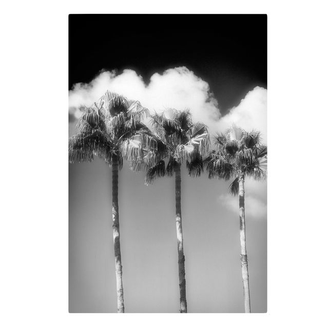 Black and white canvas art Palm Trees Against The Sky Black And White