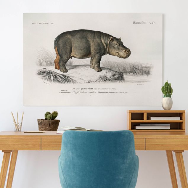 Landscape canvas prints Vintage Board Hippo