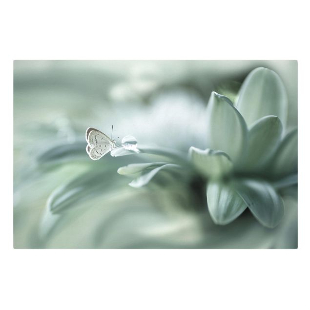 Prints animals Butterfly And Dew Drops In Pastel Green