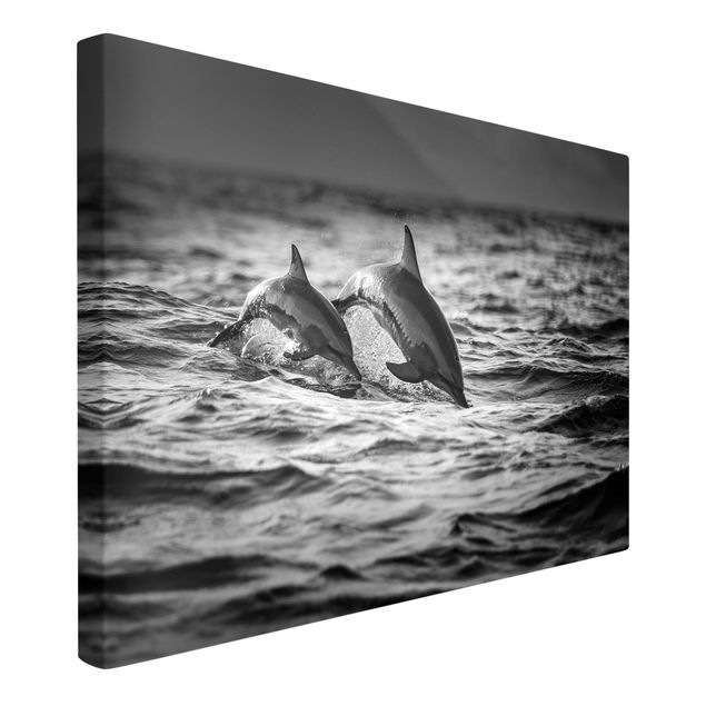 Canvas black and white Two Jumping Dolphins