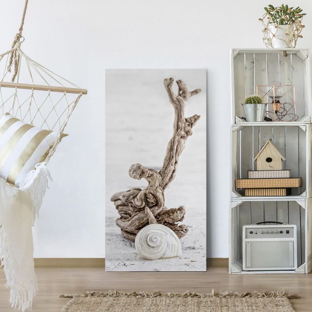 Beach canvas art White Snail Shell And Root Wood