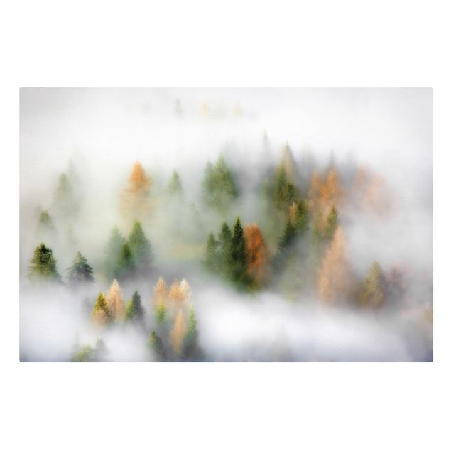 Canvas prints landscape Cloud Forest In Autumn
