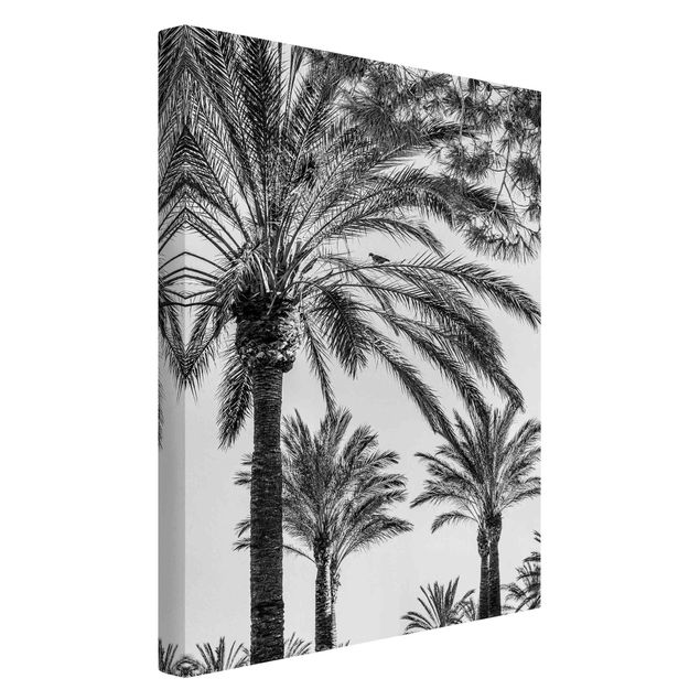 Art prints Palm Trees At Sunset Black And White