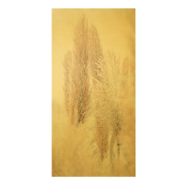 Contemporary art prints Pampas Grass In White Light