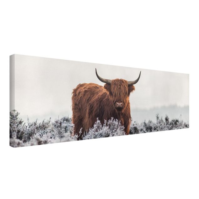 Animal canvas Bison In The Highlands