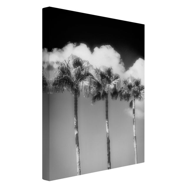 Canvas prints art print Palm Trees Against The Sky Black And White