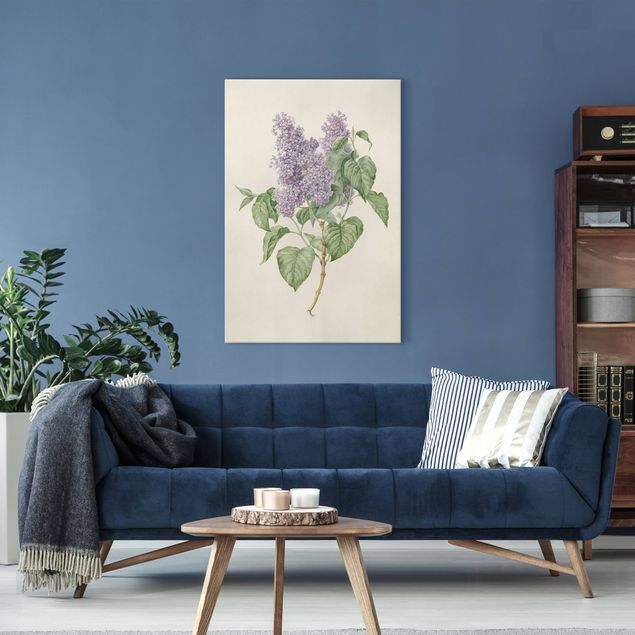 Art style Maria Geertruyd Barber-Snabilie - Lilac