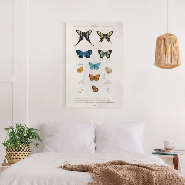 Butterfly art print Vintage Board Butterflies I