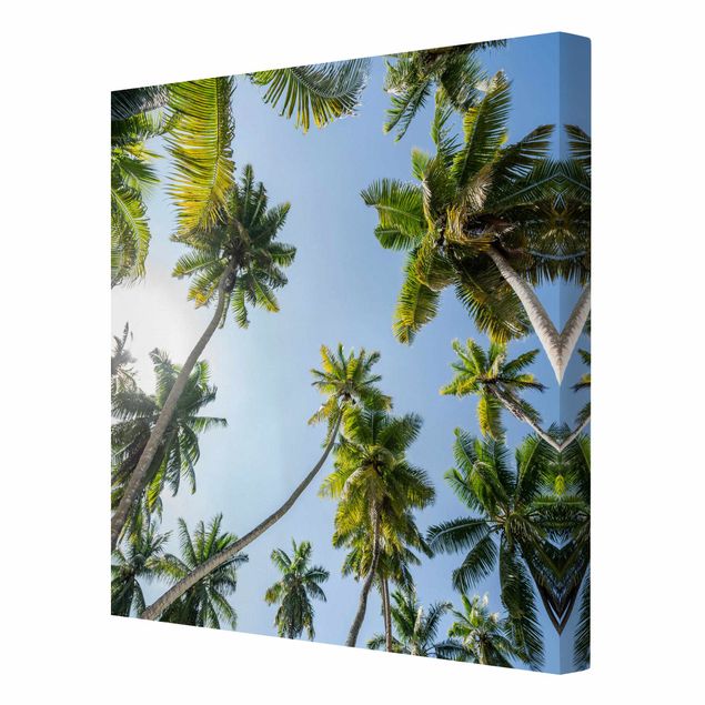 Prints green Palm Tree Canopy