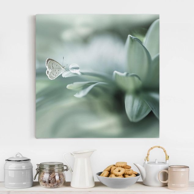 Canvas prints grasses Butterfly And Dew Drops In Pastel Green