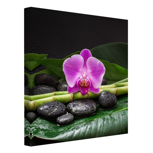 Orchid pictures on canvas Green Bamboo With Orchid Flower