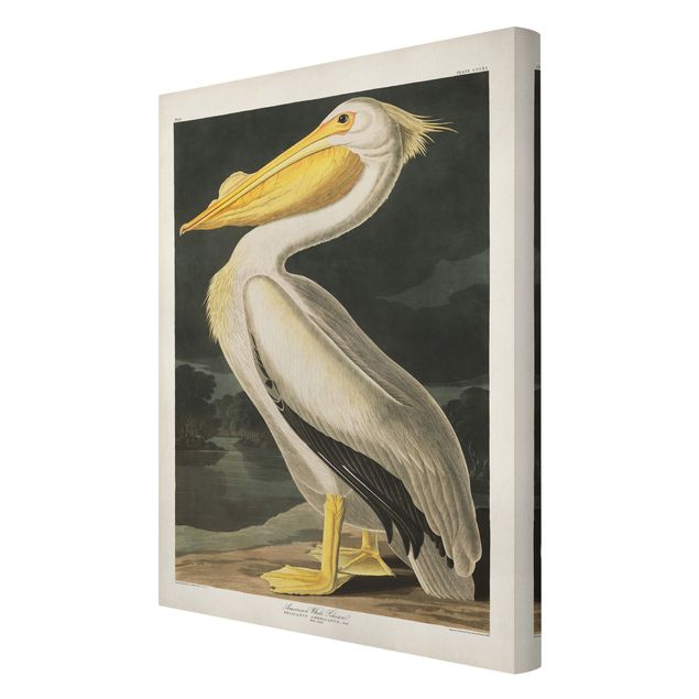 Yellow art prints Vintage Board White Pelican