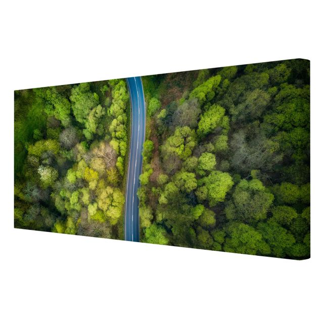 Nature wall art Aerial View - Asphalt Road In The Forest
