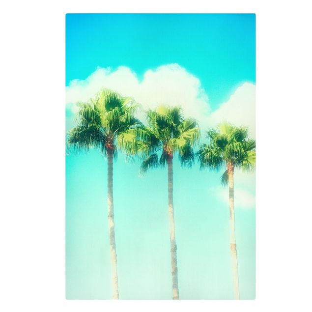 Flower print Palm Trees Against Blue Sky