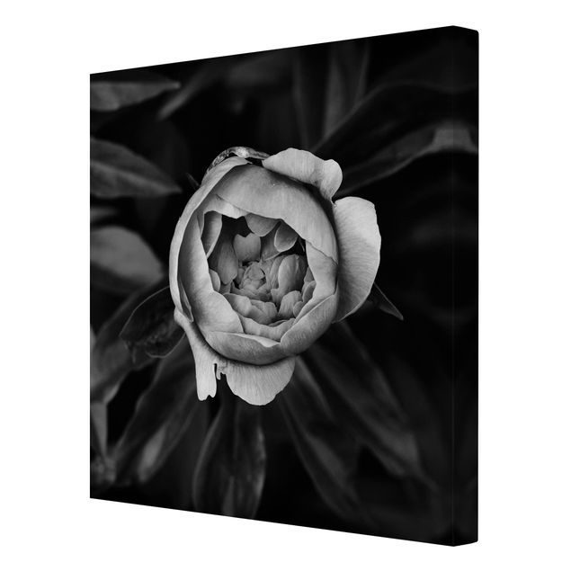 Black and white art Peonies In Front Of Leaves Black And White