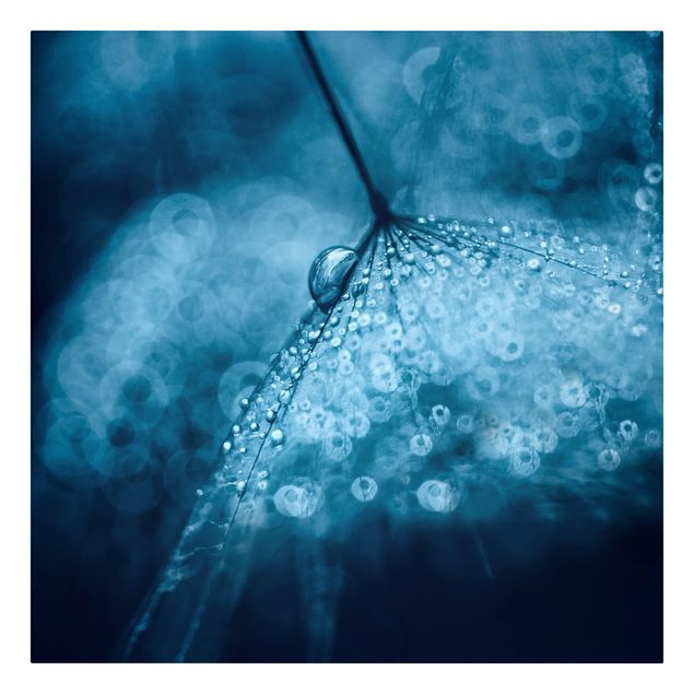 Modern art prints Blue Dandelion In The Rain