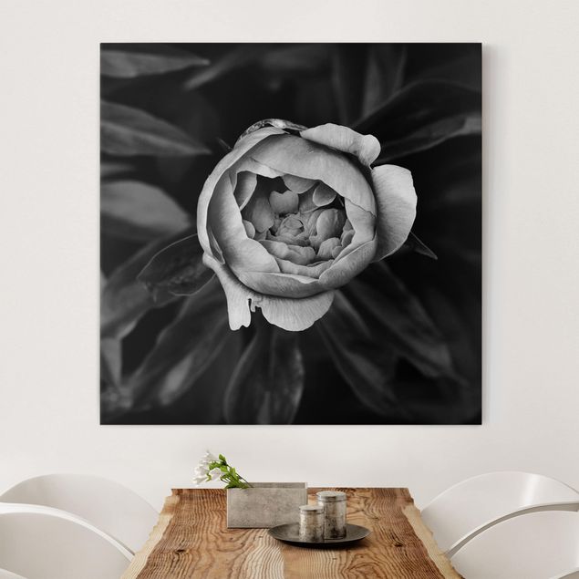 Kitchen Peonies In Front Of Leaves Black And White