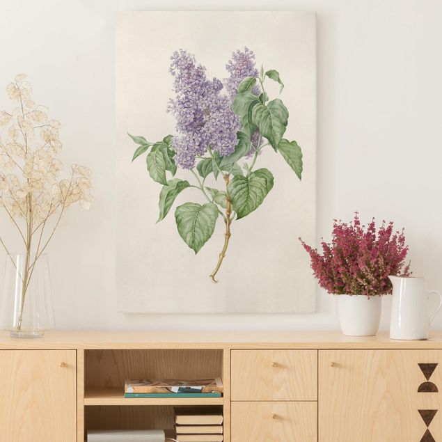 Kitchen Maria Geertruyd Barber-Snabilie - Lilac