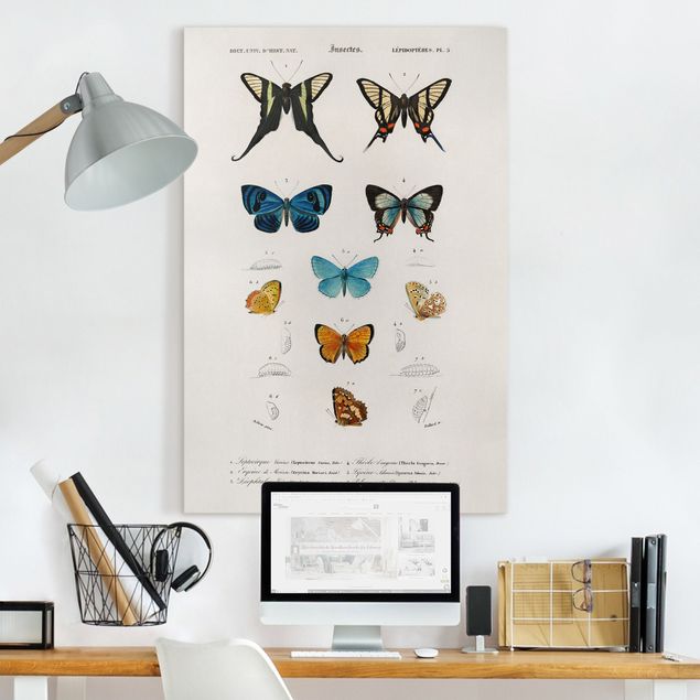 Kitchen Vintage Board Butterflies I