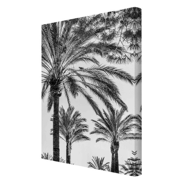 Wall art black and white Palm Trees At Sunset Black And White