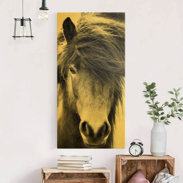 Animal wall art Icelandic Horse In Black And White