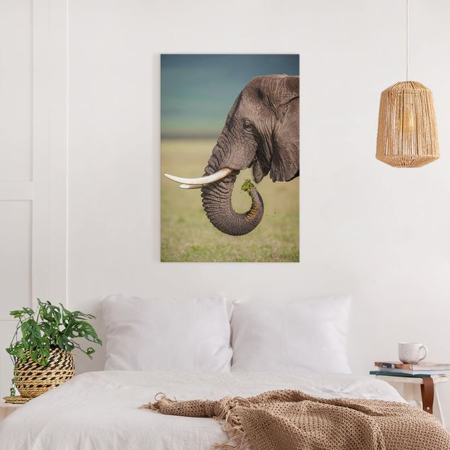 Canvas elefant Feeding Elephants In Africa
