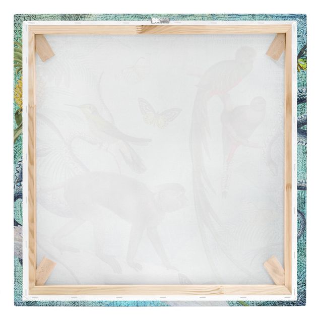 Canvas art Colonial Style Collage - Monkeys And Birds Of Paradise