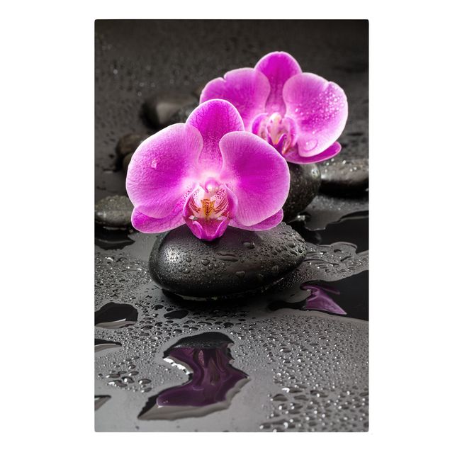 Art prints Pink Orchid Flower On Stones With Drops