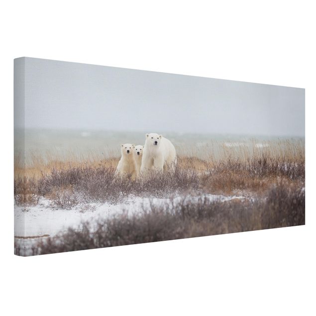 Contemporary art prints Polar Bear And Her Cubs