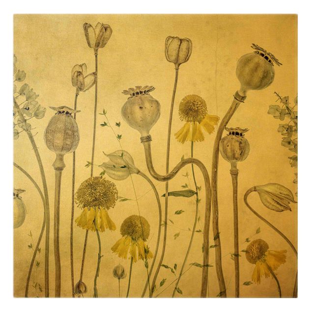 Prints floral Poppy And Helenium