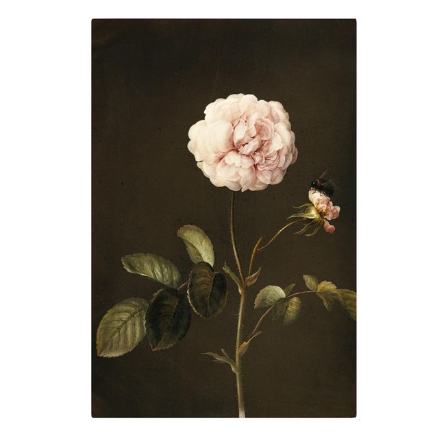 Canvas art Barbara Regina Dietzsch - French Rose With Bumblbee