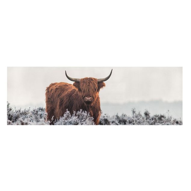 Prints Bison In The Highlands