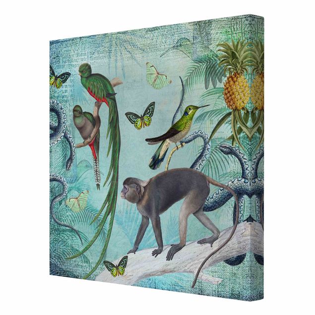 Art prints Colonial Style Collage - Monkeys And Birds Of Paradise