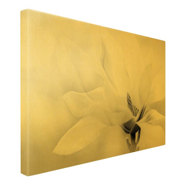 Wall art prints Delicate Magnolia Flowers Black and White