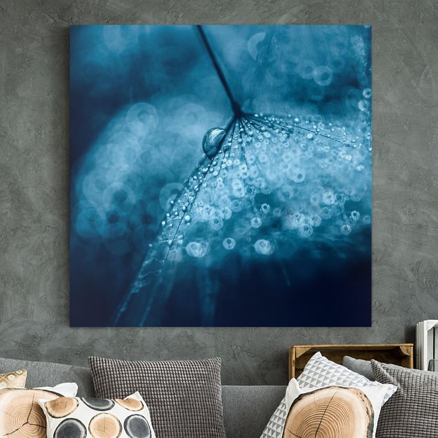 Kitchen Blue Dandelion In The Rain