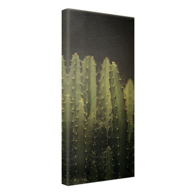 Prints green Desert Cactus At Night