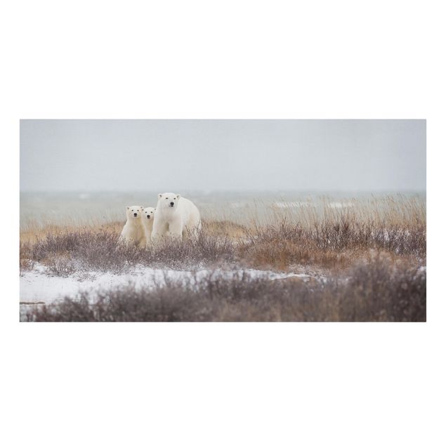 Canvas prints animals Polar Bear And Her Cubs