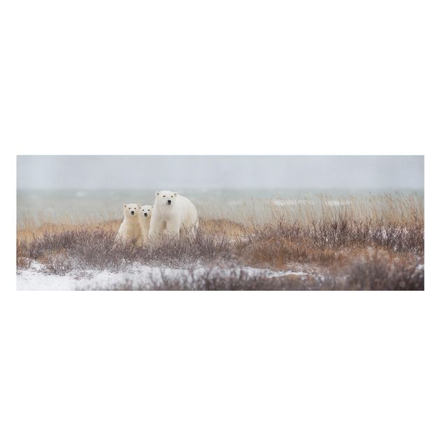 Canvas prints animals Polar Bear And Her Cubs