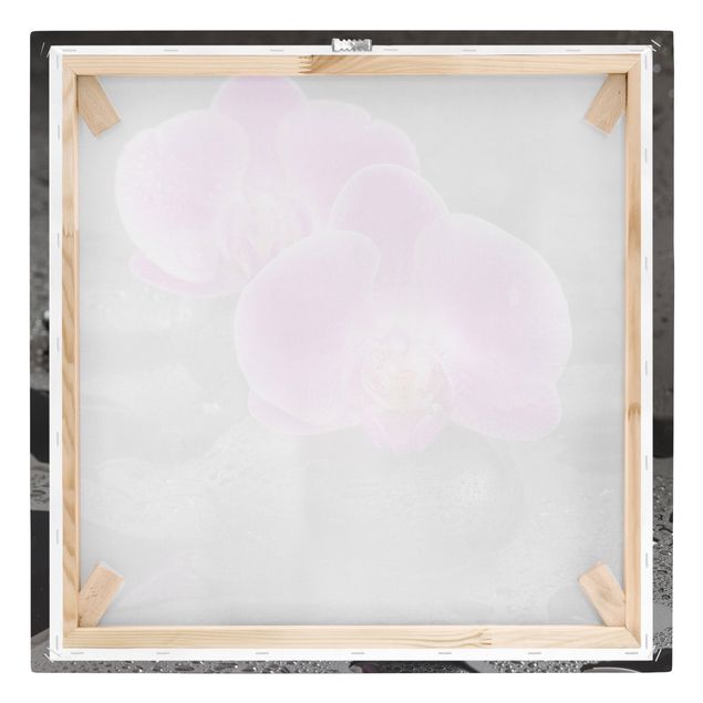Flower print Pink Orchid Flower On Stones With Drops