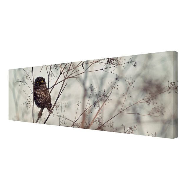 Canvas prints Owl In The Winter